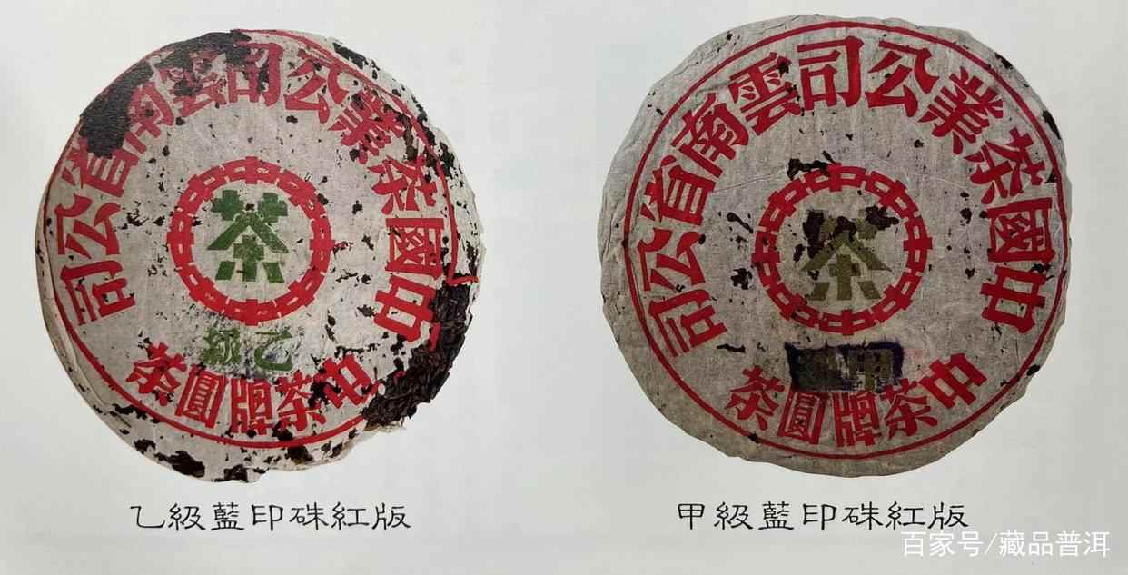 蓝印圆茶的传奇历史与独特魅力解析