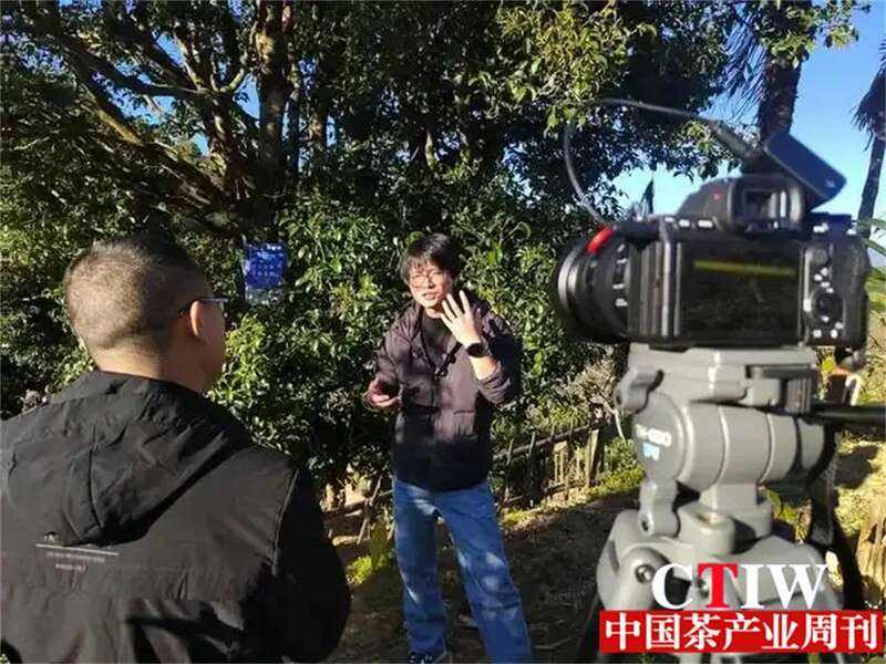 云南凤庆茶旅融合新模式 商务旅居助力乡村振兴 brand_alt_mark