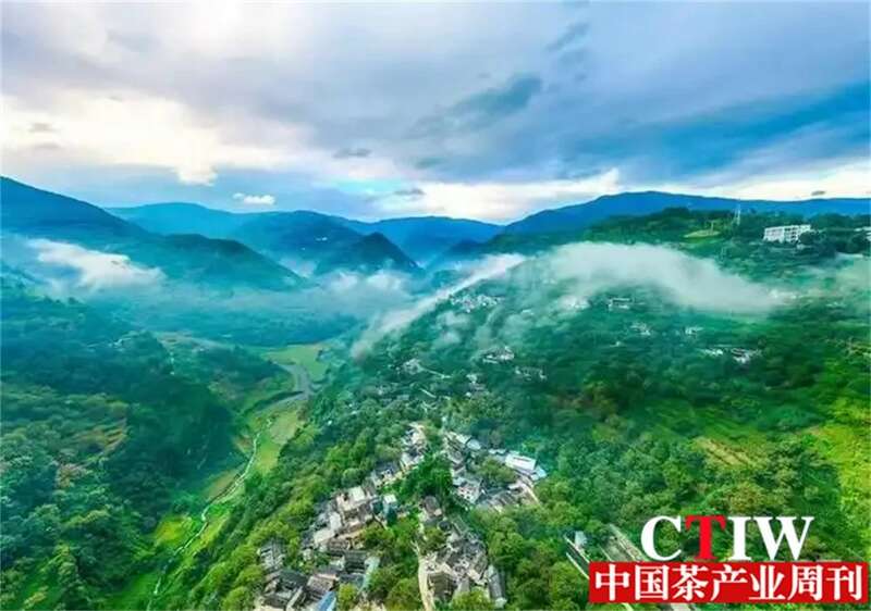 云南凤庆茶旅融合新模式 商务旅居助力乡村振兴 brand_alt_mark