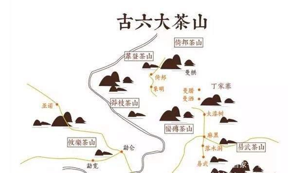 山头古树茶与品牌茶之争：谁才是普洱茶市场的未来主导者