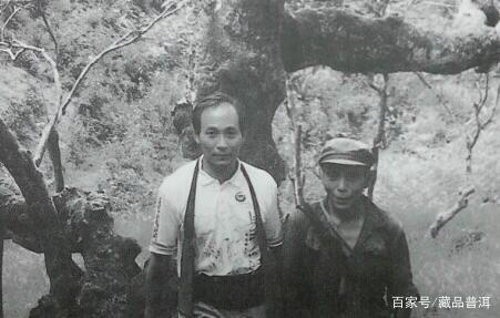 邓时海2013年福禄圆茶深度解析,临沧产区普洱茶收藏价值 邓时海2013年福禄圆茶深度解析,临沧产区普洱茶收藏价值