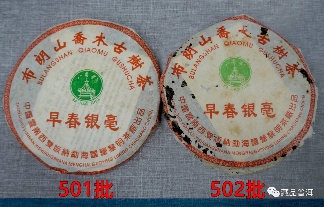 2005年501批早春银毫深度解析,布朗山乔木古树茶收藏价值 2005年501批早春银毫深度解析,布朗山乔木古树茶收藏价值