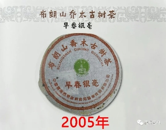 2005年501批早春银毫深度解析,布朗山乔木古树茶收藏价值 2005年501批早春银毫深度解析,布朗山乔木古树茶收藏价值