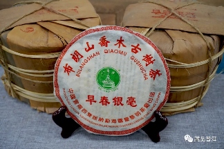 2005年501批早春银毫深度解析,布朗山乔木古树茶收藏价值 2005年501批早春银毫深度解析,布朗山乔木古树茶收藏价值