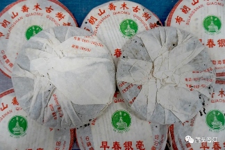 2005年501批早春银毫深度解析,布朗山乔木古树茶收藏价值 2005年501批早春银毫深度解析,布朗山乔木古树茶收藏价值