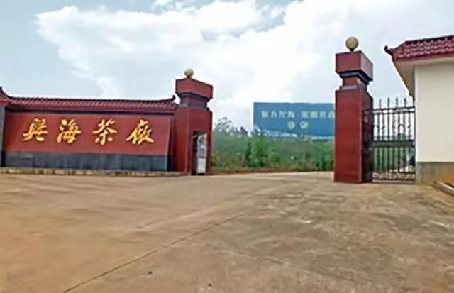 老班章普洱茶的魅力解析：产区特点与入门茶品推荐