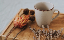 青城雪芽的由来.png 青城雪芽的由来.png