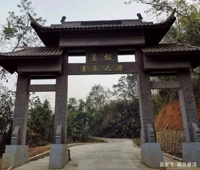曼松普洱茶为什么这么贵?皇家贡茶的独特魅力解析 曼松普洱茶为什么这么贵?皇家贡茶的独特魅力解析