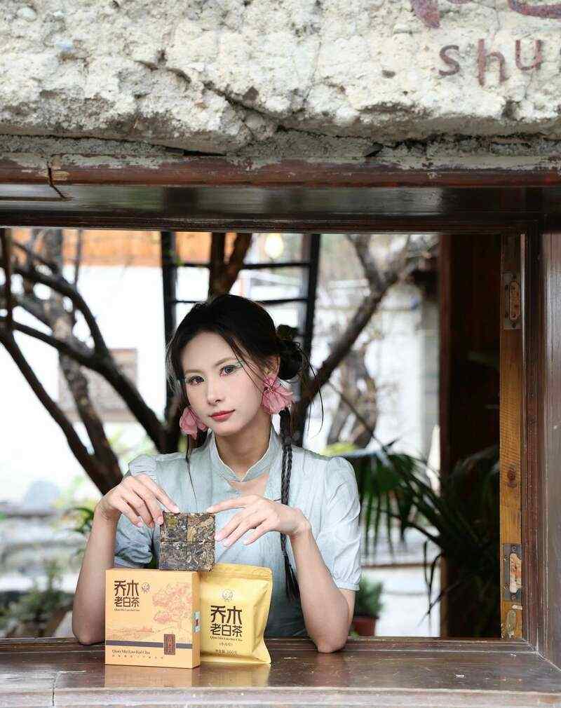云南乔木老白茶小方片三年陈化工艺醇厚口感 下关乔木老白茶 风起春意,适饮白茶