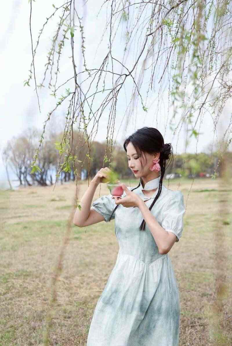 云南乔木老白茶小方片三年陈化工艺醇厚口感 下关乔木老白茶 风起春意,适饮白茶