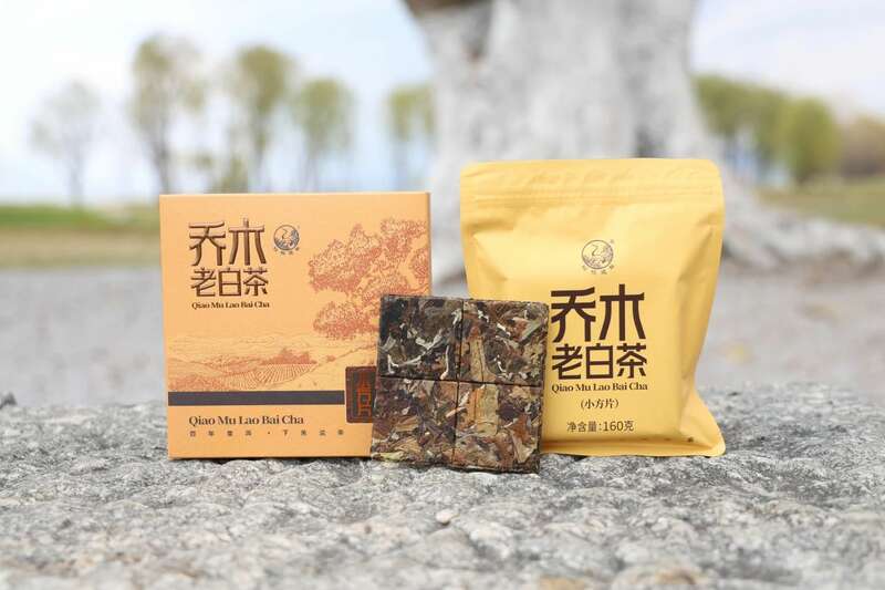 云南乔木老白茶小方片三年陈化工艺醇厚口感 下关乔木老白茶 风起春意,适饮白茶