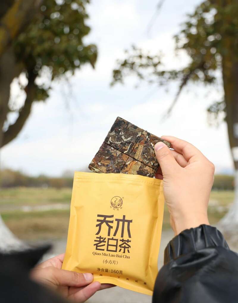 云南乔木老白茶小方片三年陈化工艺醇厚口感 下关乔木老白茶 风起春意,适饮白茶