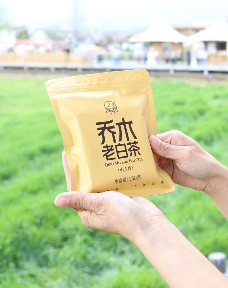 云南乔木老白茶小方片三年陈化工艺醇厚口感 下关乔木老白茶 风起春意,适饮白茶