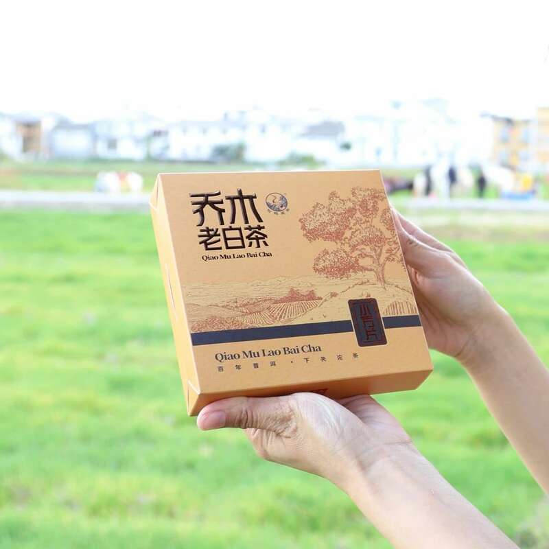 云南乔木老白茶小方片三年陈化工艺醇厚口感 下关乔木老白茶 风起春意,适饮白茶