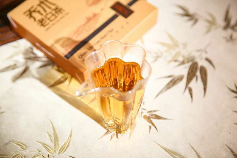 云南乔木老白茶小方片三年陈化工艺醇厚口感 下关乔木老白茶 风起春意,适饮白茶