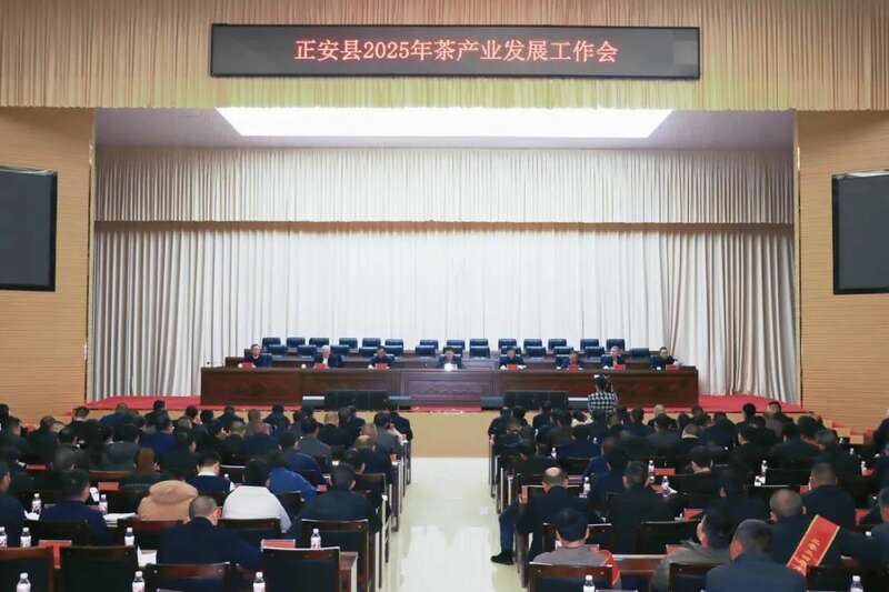 正安县召开2025年茶产业发展工作会 推动产业高质量发展 正安县2025年茶产业发展工作会召开