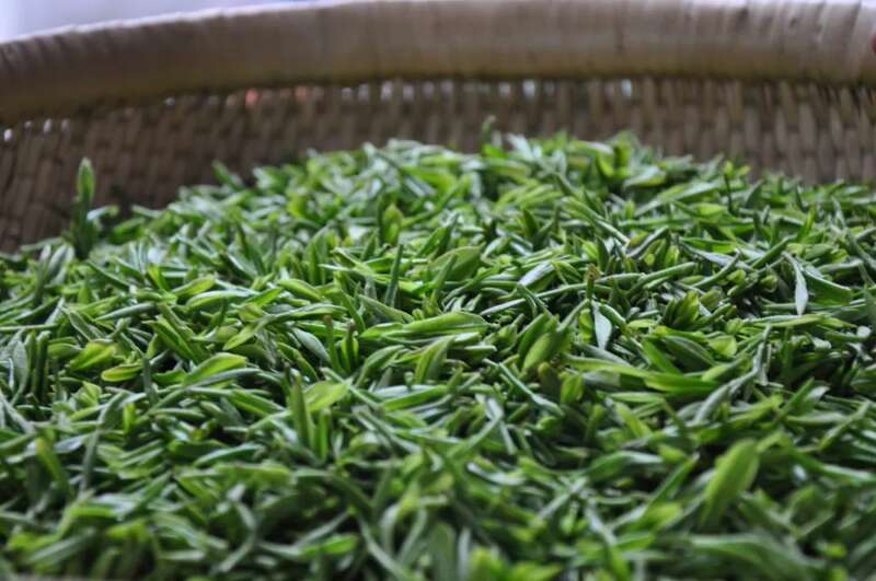 春茶直播竞争激烈 破局策略助力销量爆发 想要直播间卖春茶爆单?deepseek这样说
