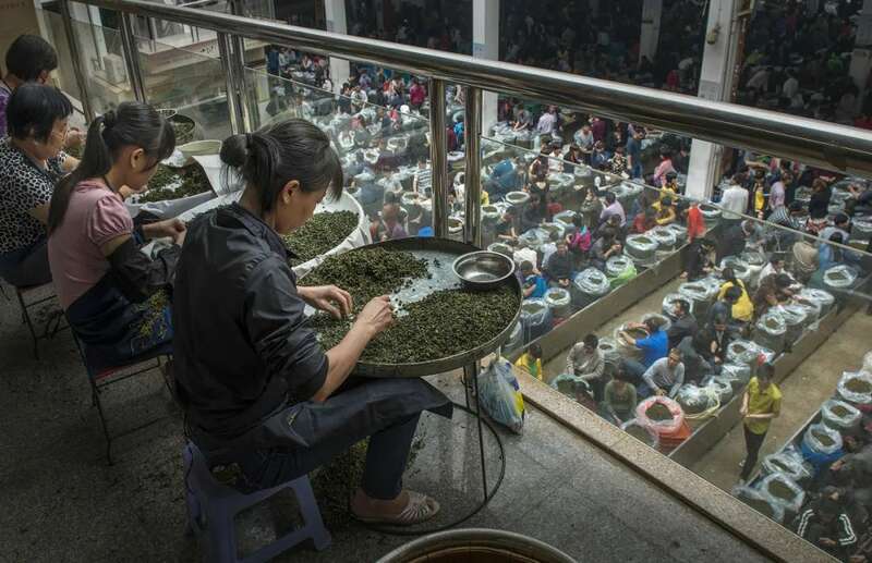 春茶直播竞争激烈 破局策略助力销量爆发 想要直播间卖春茶爆单?deepseek这样说