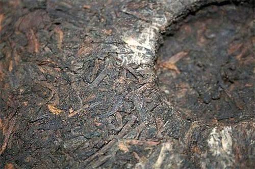普洱茶仓储8大经典问答,教你避开回南天存茶误区 普洱茶仓储8大经典问答,教你避开回南天存茶误区