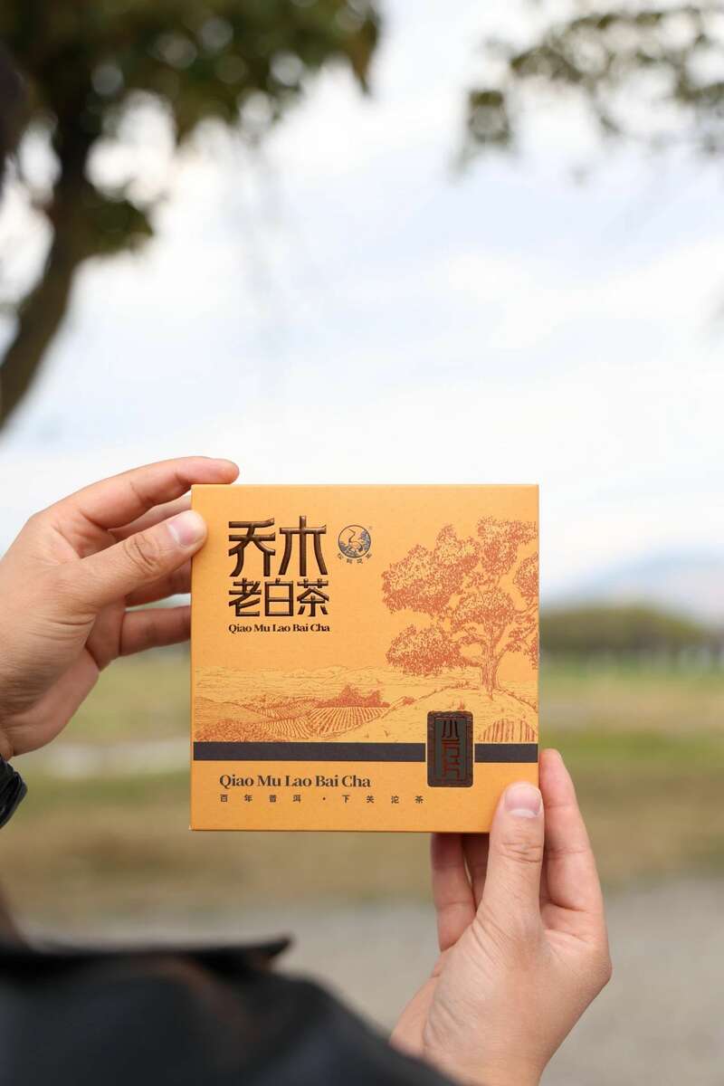 春日品茶正当时,乔木老白茶小方片清香怡人 下关乔木老白茶 白茶小方片,春日小甜甜