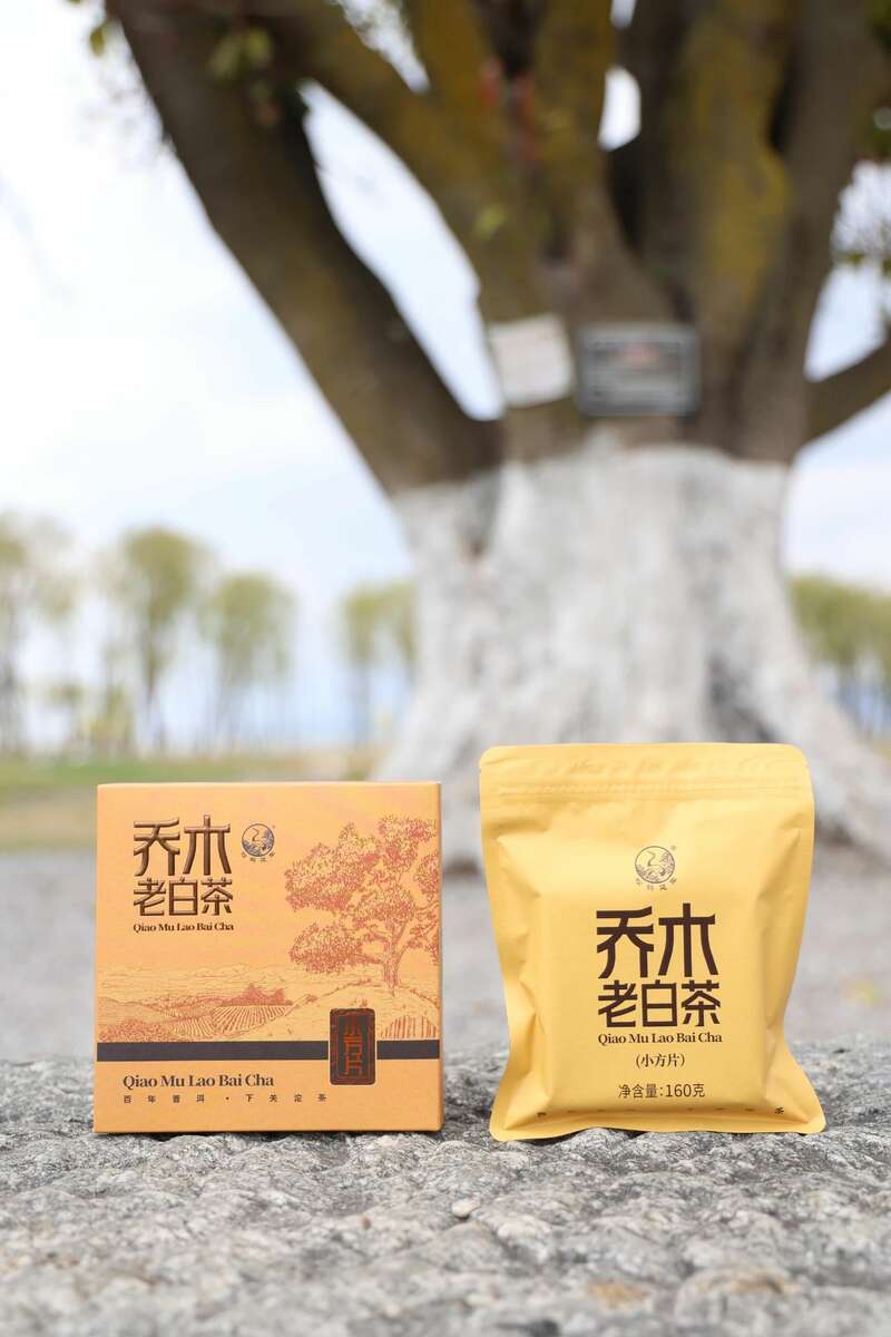 春日品茶正当时,乔木老白茶小方片清香怡人 下关乔木老白茶 白茶小方片,春日小甜甜