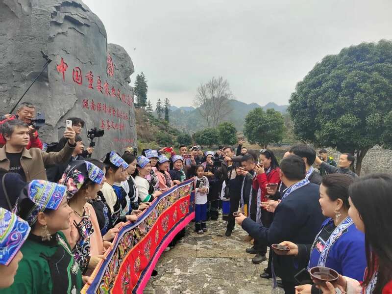 湘西保靖黄金茶春茶开采举行传统敬茶仪式 湖南最早茶园开采啦!