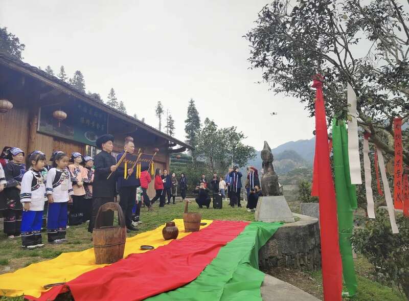 湘西保靖黄金茶春茶开采举行传统敬茶仪式 湖南最早茶园开采啦!