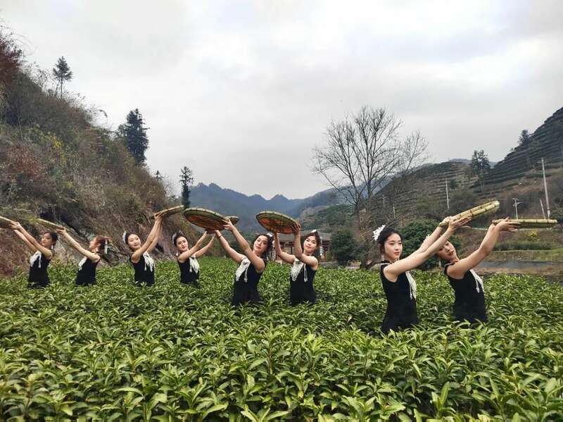 湘西保靖黄金茶春茶开采举行传统敬茶仪式 湖南最早茶园开采啦!