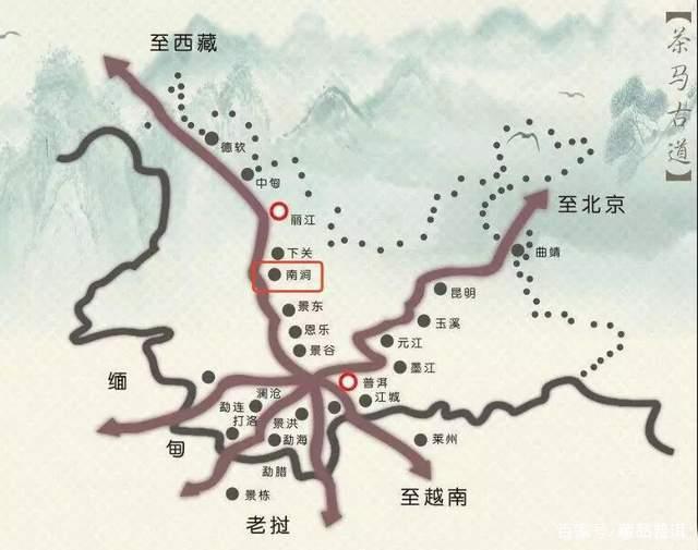 土林凤凰沱茶历史渊源与品质特色解析