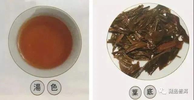 96真醇雅号，复刻号极茶工艺第一饼！复兴易武茶的先锋