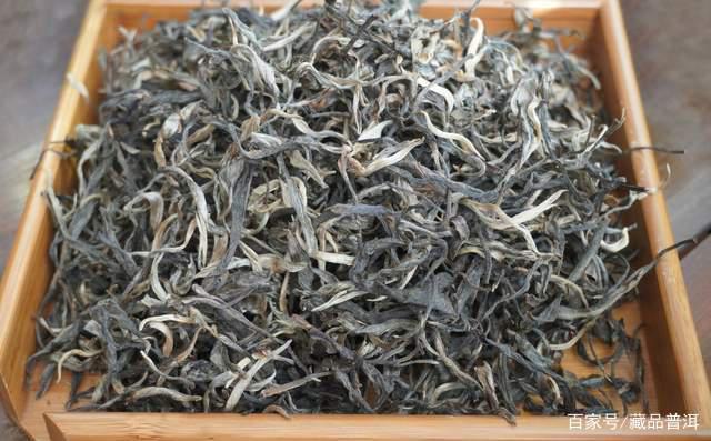 普洱茶紧压茶vs散茶哪个更好？制作工艺与储存优势对比分析