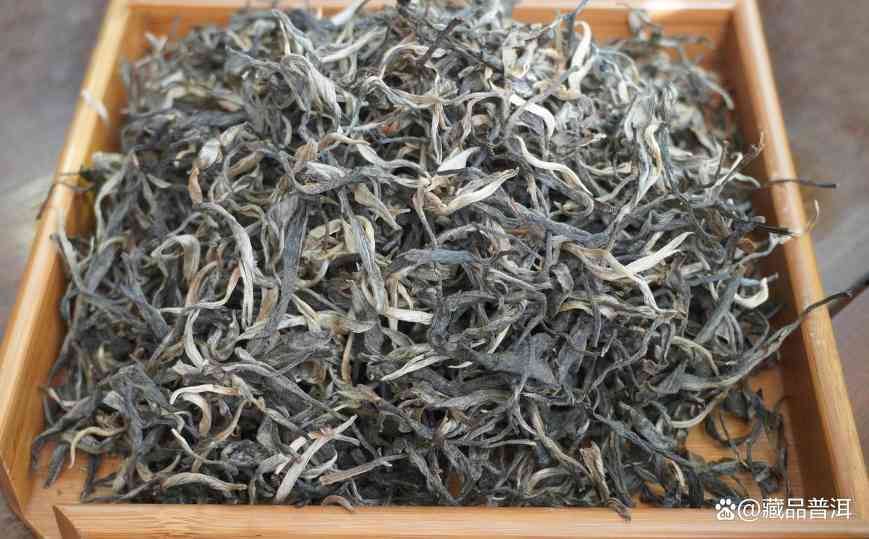 普洱茶紧压茶vs散茶哪个更好？制作工艺与储存优势对比分析