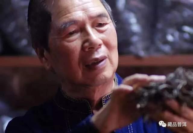 大益普洱茶商标演变史，从梅花设计到现代标识的品牌发展历程