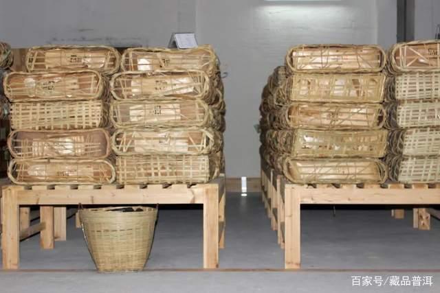 普洱古树茶树龄标准与品质真相，打破古树茶认知误区