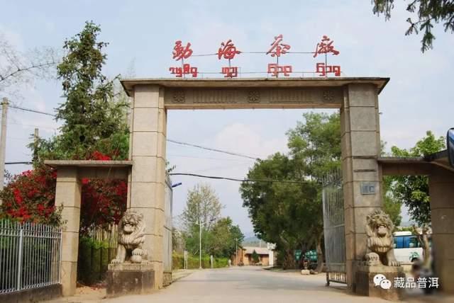 班章大白菜系列停产真相揭秘，末代白菜背后的历史原因