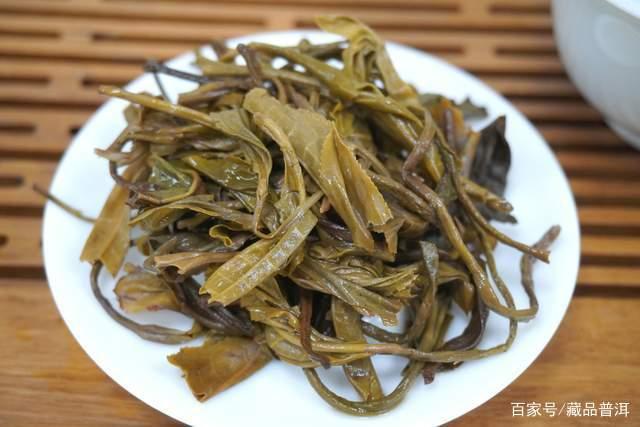 新生普洱茶如何判断陈化潜力？四个关键指标助你选对茶