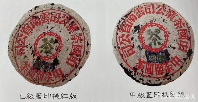 蓝印普洱茶的传奇历程与收藏价值解析