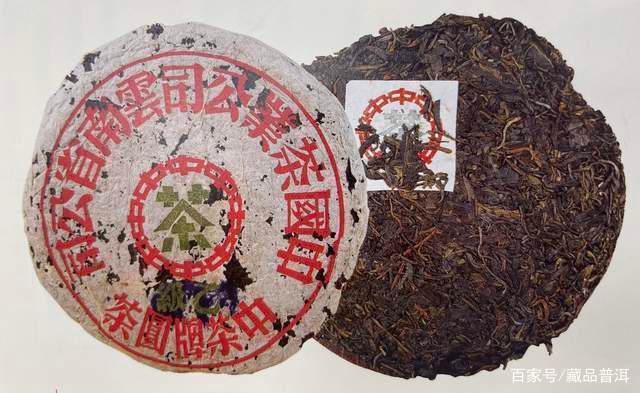 蓝印普洱茶的传奇历程与收藏价值解析