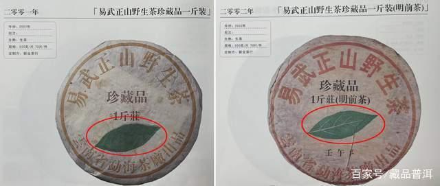 勐海茶厂易武一片叶来历揭秘，叶柄怀定制经典普洱茶品鉴