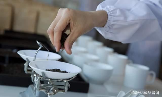 普洱茶拼配是劣质茶？揭秘拼配与纯料的真正区别
