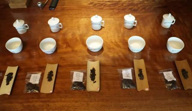 揭秘行家都在用的普洱试茶法，试茶和品茶有什么区别？