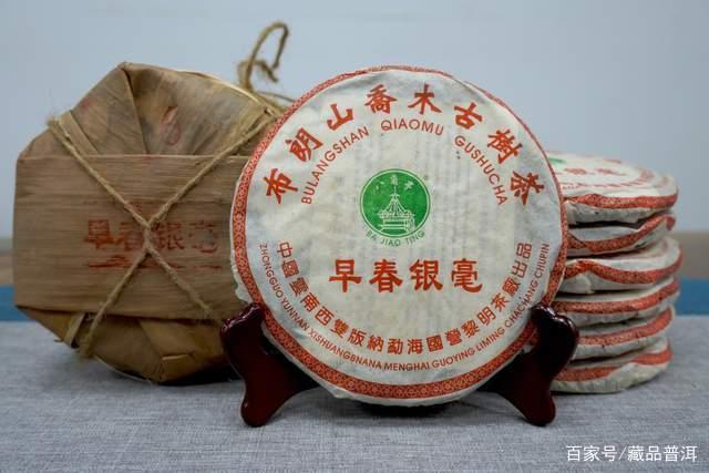 八角亭2005年早春银毫501批品鉴 老茶客必备选购指南