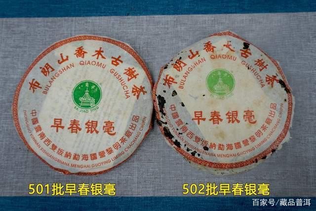 八角亭2005年早春银毫501批品鉴 老茶客必备选购指南