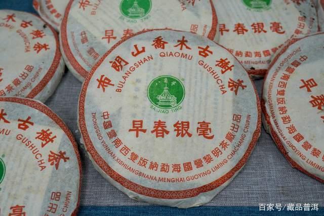 八角亭2005年早春银毫501批品鉴 老茶客必备选购指南