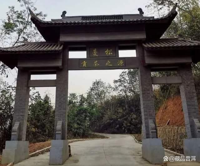 曼松贡茶为何被誉为普洱茶天花板？