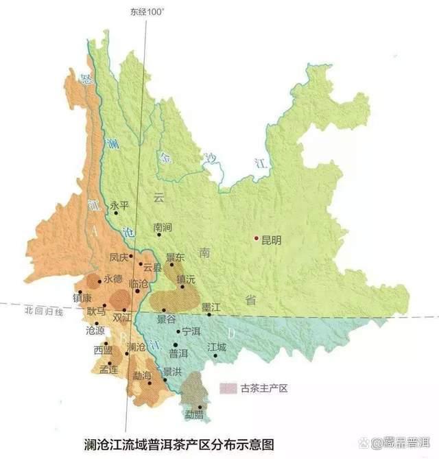 普洱茶价值解析：产地工艺储存与品鉴关键