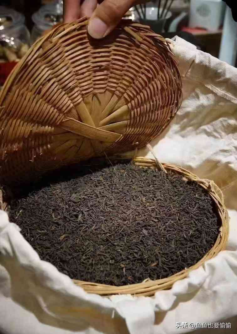 六堡茶与普洱茶的陈化潜力及工艺差异解析 六堡茶与普洱茶的陈化潜力及工艺差异解析