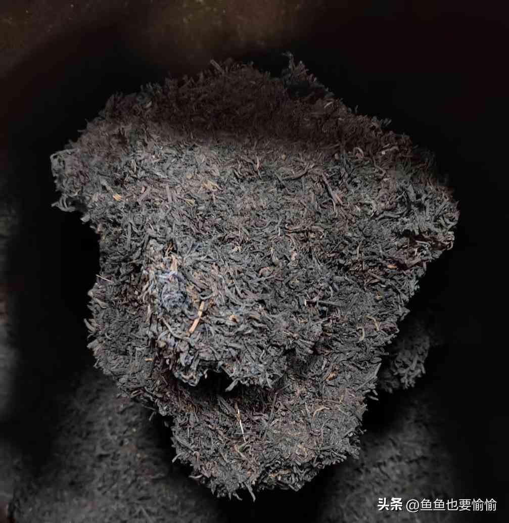 六堡茶与普洱茶的陈化潜力及工艺差异解析 六堡茶与普洱茶的陈化潜力及工艺差异解析