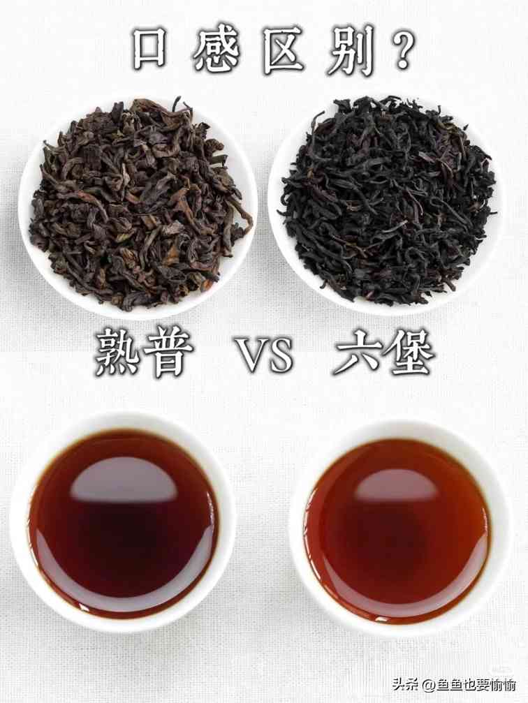 六堡茶与普洱茶的陈化潜力及工艺差异解析 六堡茶与普洱茶的陈化潜力及工艺差异解析
