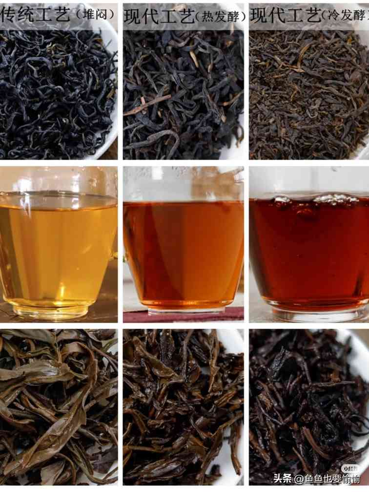 六堡茶与普洱茶的陈化潜力及工艺差异解析 六堡茶与普洱茶的陈化潜力及工艺差异解析